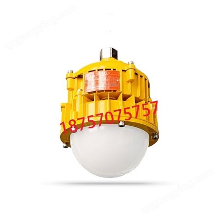 海洋王BPC8766 同款 LED防爆平台灯