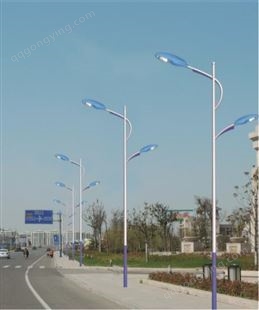 海陆6米8米10米LED市电路灯 道路照明单臂路灯厂家