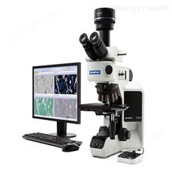 OLYMPUS光学显微镜 BX53M